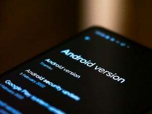 Google enthüllt den Namen des Android 13-Desserts im ersten Entwicklervorschau-Build