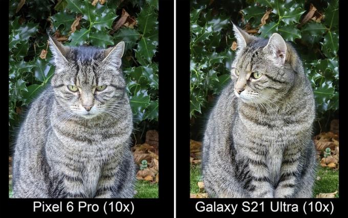 Pixel 6 Pro vs Galaxy S21 Ultra Zoom 10x