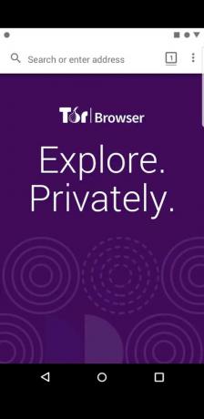 „Tor“ naršyklės ekrano kopija