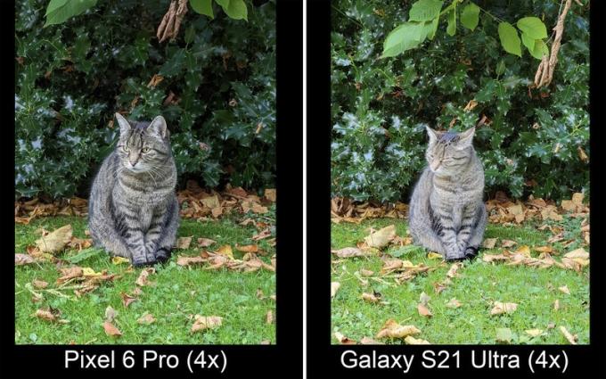Pixel 6 Pro versus Galaxy S21 Ultra Zoom 4x