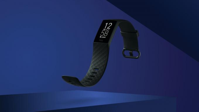 Biaya Fitbit 4