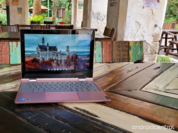 Lenovo C340 в дивата природа на Animal Kingdom