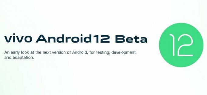 Vivo Android 12 beta versija
