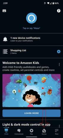 Capture d'écran Amazon Alexa Echo