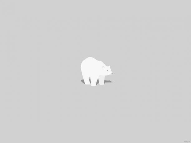 Urso polar mínimo