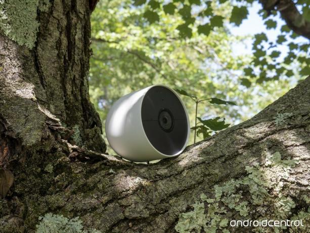 Nest Cam 2021 batteri i träd