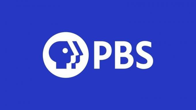 Pbs logotipas