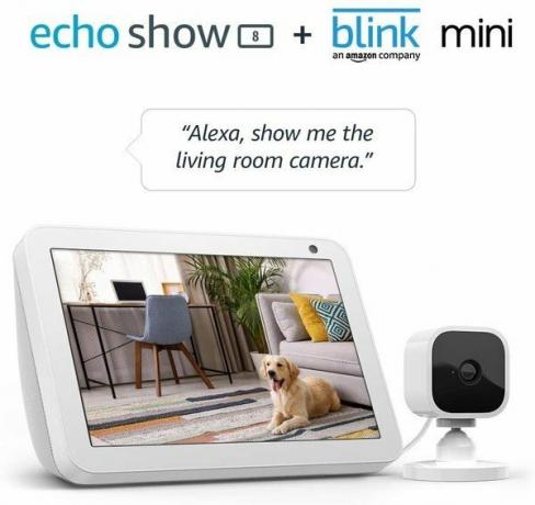 Pacote Echo Show 8 Blink Mini