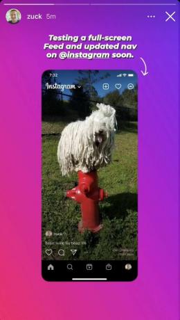 Instagram's nieuwe full-screen feed voor 2022
