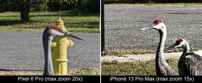 Pixel 6 Pro versus Iphone 13 Pro Max Zoom Day