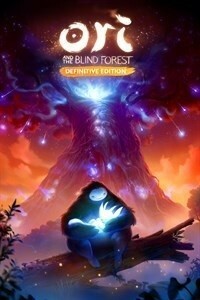 Accori Blind Forest Reco Image