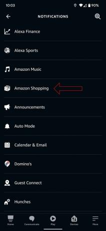 Amazon Alexa Echo-Screenshot