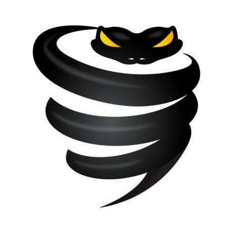 Лого на Vyprvpn