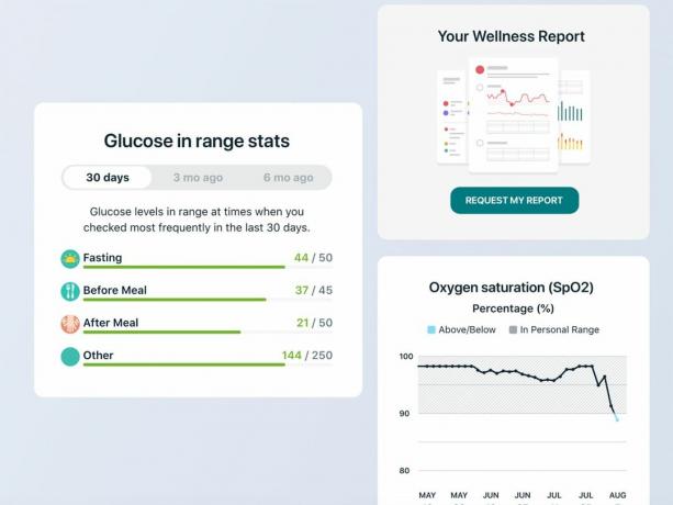 Fitbit Wellness jelentés