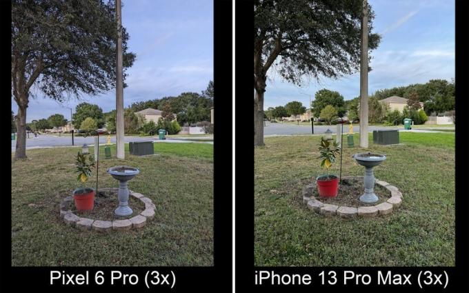 Pixel 6 Pro مقابل iPhone 13 Pro Max Day