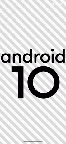 Huevo de Pascua de Android 10