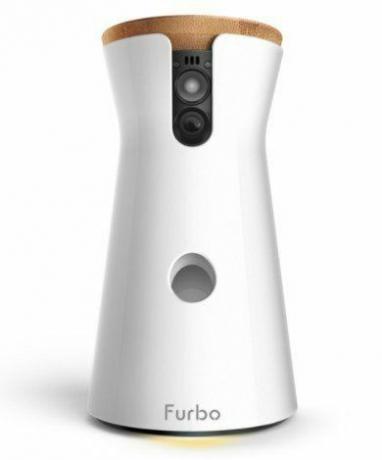 Fotocamera intelligente Furbo