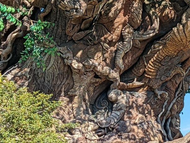 Fotoaparat Pixel 6 vzorci drevesa življenja pri polni 7-kratni povečavi