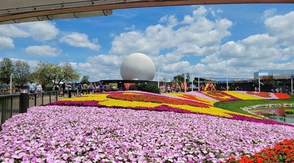 A52 5g Review S21 Flowerfield Epcot