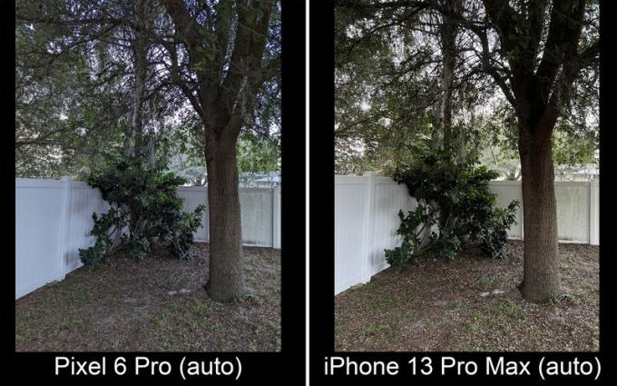 Pixel 6 Pro versus Iphone 13 Pro Max Weinig licht