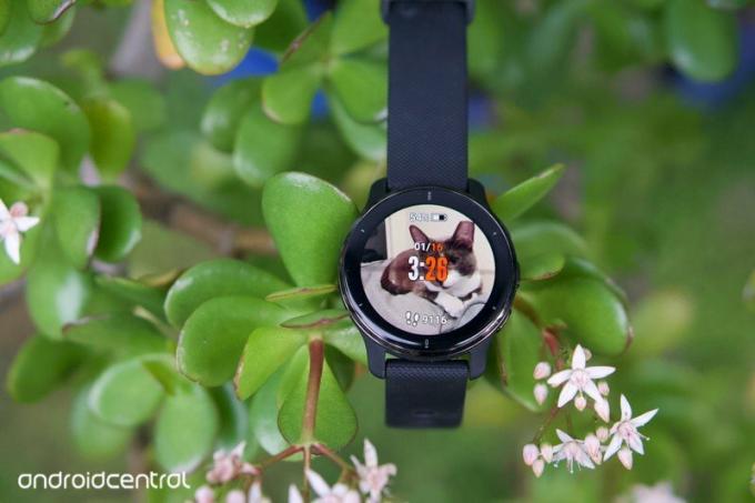 O Garmin Venu 2 Plus com um watchface personalizado de um gato