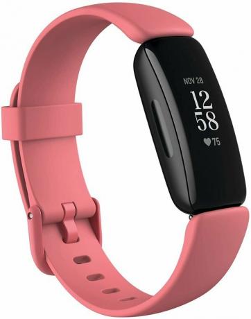 Fitbit Inspire 2 must roos