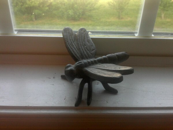Dragonfly, ηλιόλουστο παράθυρο