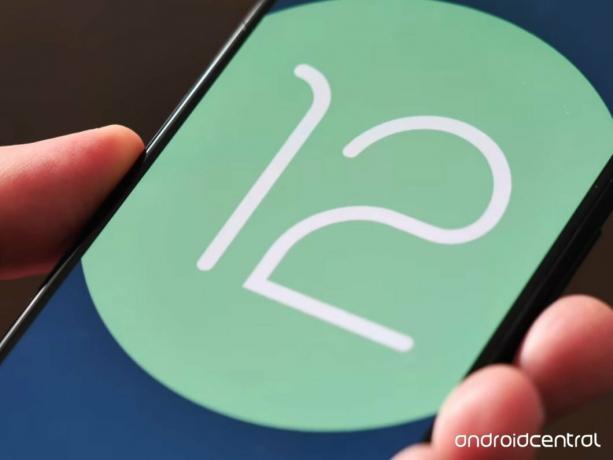 „Android 12“ logotipas