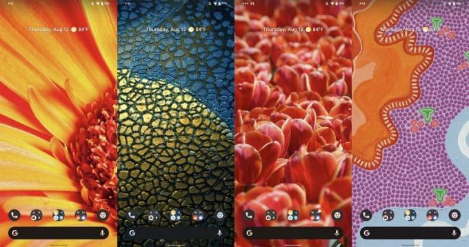 Android 12 Beta 4 søgefeltfarver